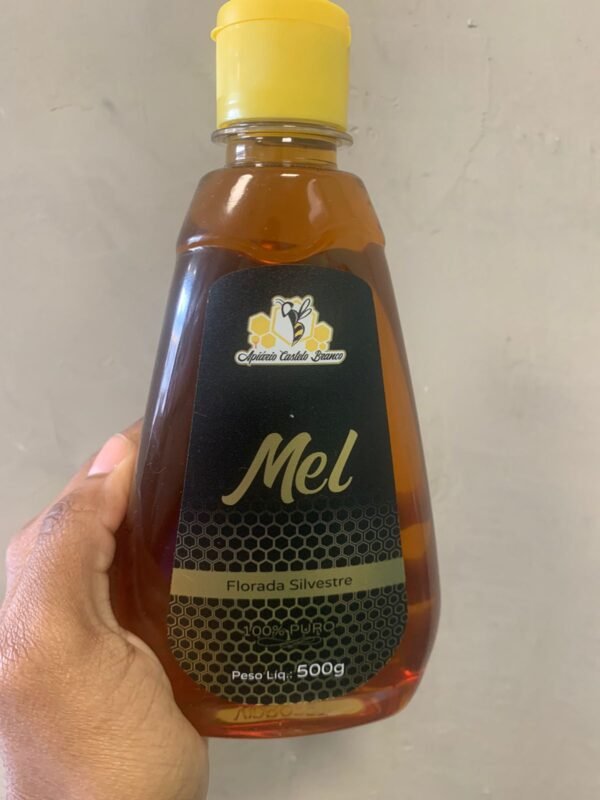 MEL FLORADA SILVESTRE - 500G