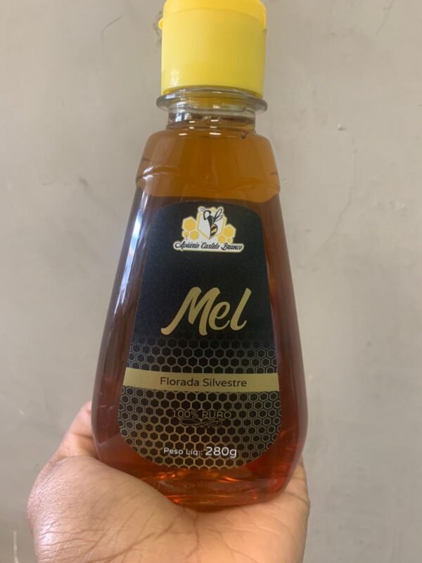 MEL FLORADA SILVESTRE - 280G