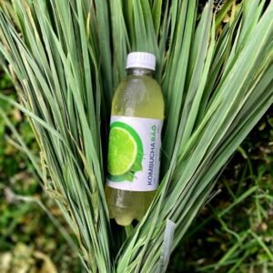 KOMBUCHA BAO LIMAO E CAPIM SANTO 300ml