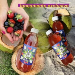 KEFIR DE AGUA DE COCO E FRUTAS VERMELHAS 300ml - BAO