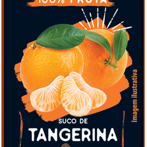 SUCO DE TANGERINA 200ml - SUPER BOM